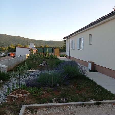 Holiday Home Lucia ロゾヴァック エクステリア 写真